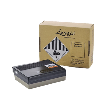 A Luggie brand battery box with a brown cardboard shipping carton behind it, photographed on a plain white background.